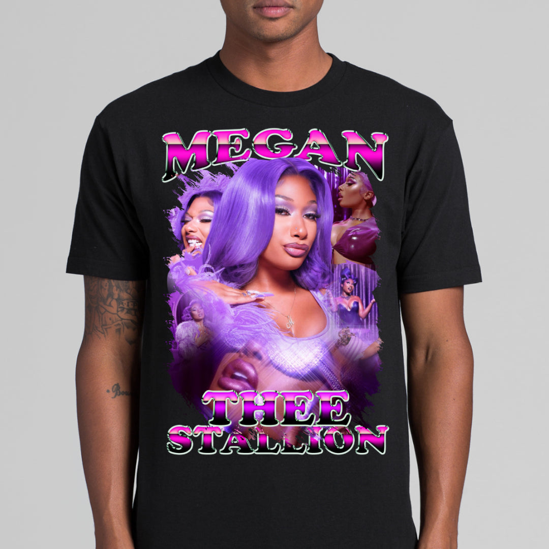Megan Thee Stallion4 T-Shirt Rapper Family Fan Music Hip Hop Culture