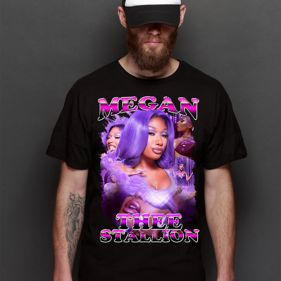 Megan Thee Stallion4 T-Shirt Rapper Family Fan Music Hip Hop Culture