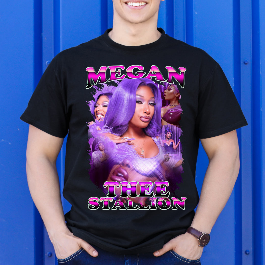 Megan Thee Stallion4 T-Shirt Rapper Family Fan Music Hip Hop Culture