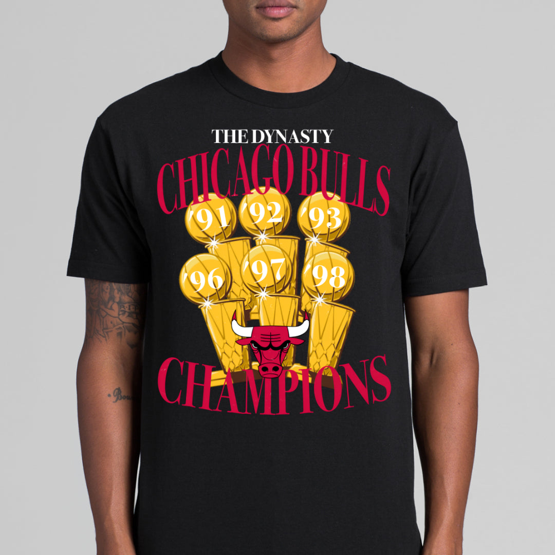 Chicago Bulls NBA V3 T-Shirt Sport Athlete Family Tee